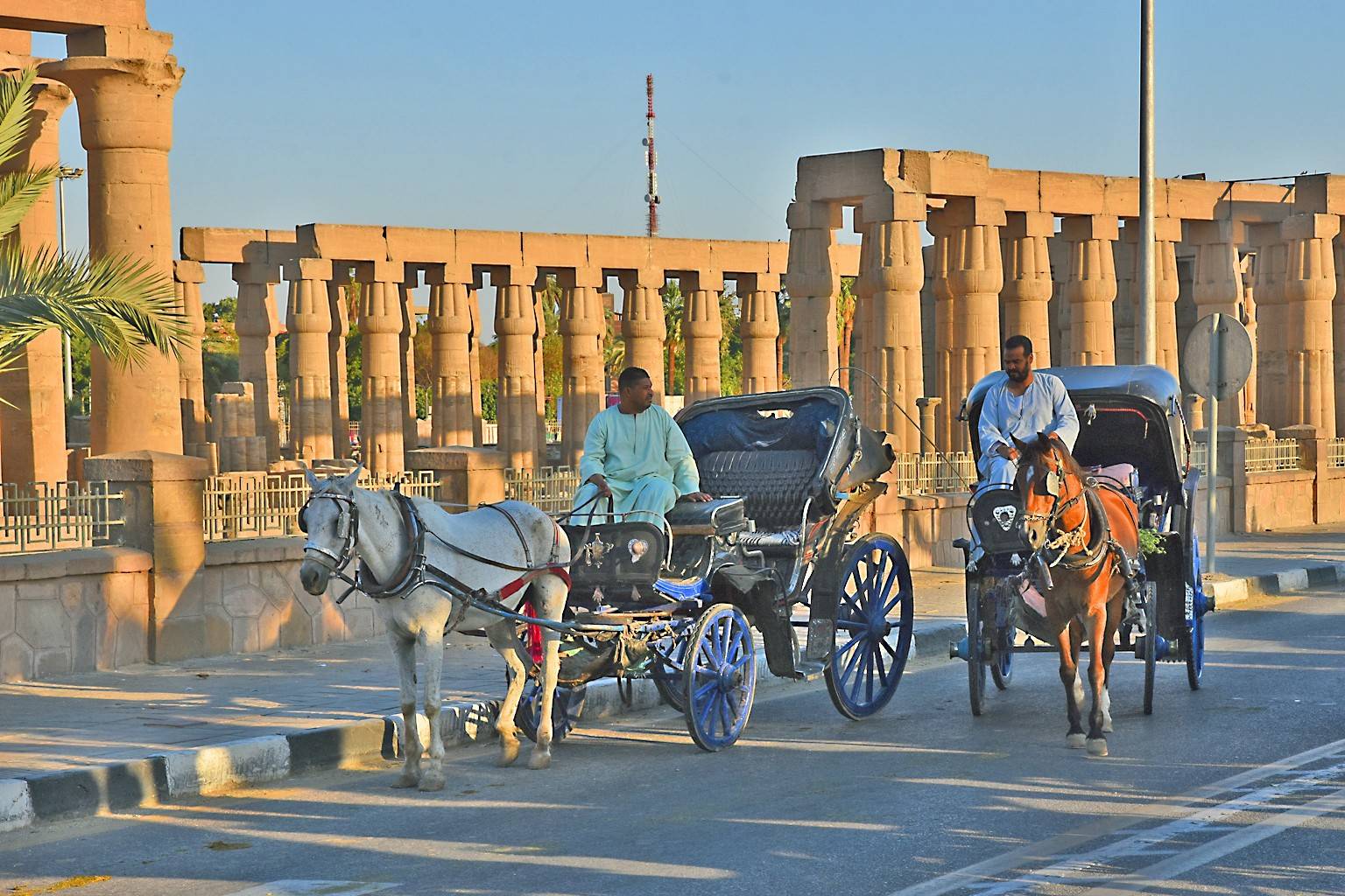 Luxor City Tour by Horse Carriage
